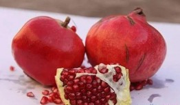 吃石榴可以吃籽瓜吗女生,女性健康饮食新选择