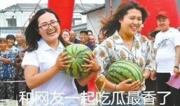 吃瓜战斗力,揭秘娱乐圈幕后真相