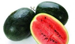 横条纹吃瓜视频,揭秘网红美食背后的故事