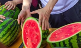 民航大学吃瓜视频,揭秘校园生活趣味瞬间