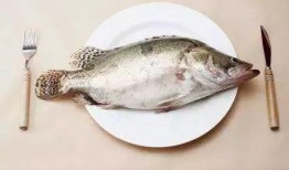 吃巨型八瓜鱼,巨型八瓜鱼美食盛宴