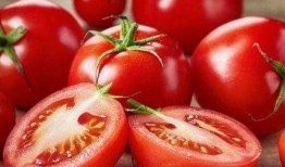 吃瓜系统小说番茄小说