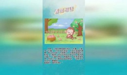 猴子吃瓜看图写话,一场视觉与味觉的双重盛宴