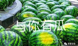 吃瓜哈工大,吃瓜群众眼中的校园风云录