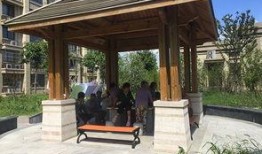 广西亭子的吃瓜男女,吃瓜男女的欢乐时光