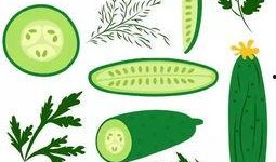 吃瓜就浑身没劲,竟致浑身无力？揭秘“吃瓜疲劳”现象