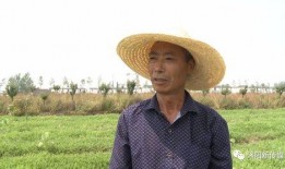 沭阳人吃瓜现象,探寻当地独特的“吃瓜文化”现象