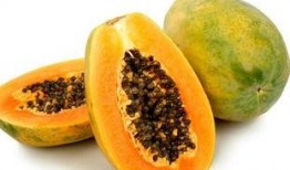 梦见吃鲜瓜好吗