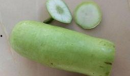 比瓠瓜粗能炒着吃的瓜,比瓠瓜粗的炒瓜新尝试