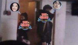 吃瓜没停过,揭秘娱乐圈幕后风云