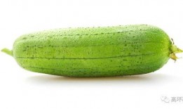 适合动物吃的瓜,盘点适合动物食用的美味瓜类