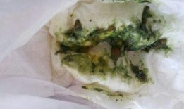 吃绿瓜拉绿屎,绿色瓜果引发绿色排泄奇观揭秘