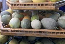 新疆最近吃瓜,民生福祉持续升温