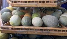 新疆最近吃瓜,民生福祉持续升温