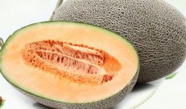 吃哈密瓜降温