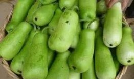 小朋友吃葫芦瓜,小朋友的甜蜜探险记