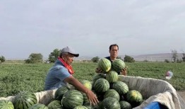 吃瓜取暖,揭秘娱乐圈的“暖冬秘籍”