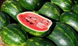 郑大人吃瓜图片,揭秘娱乐圈幕后趣闻