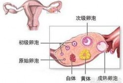 吃瓜黄体破裂,黄体破裂的惊险瞬间