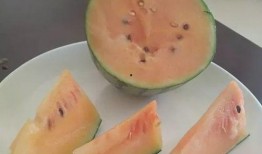 吃瓜点点,揭秘娱乐圈背后的那些事儿