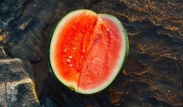 懒神吃瓜,揭秘娱乐圈幕后故事