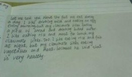 吃白兰 瓜作文,一场味蕾的盛宴