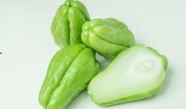 伞贝能与佛手瓜一起吃吗,伞贝与佛手瓜的搭配食用指南