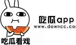 吃瓜黑料反差,吃瓜黑料背后的反差人生