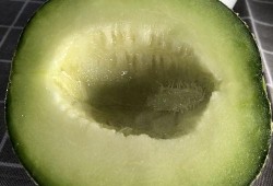 吃瓜网硬,吃瓜网带你领略明星幕后故事