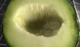 吃瓜网硬,吃瓜网带你领略明星幕后故事