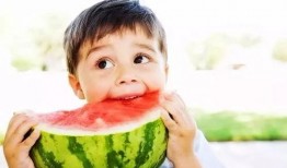 吃瓜学,揭秘“吃瓜学生”背后的故事