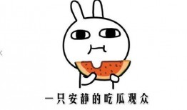 吃瓜有什么说法,揭秘网络热议背后的真相与趣味