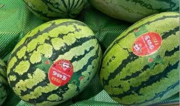 超级吃瓜卡,揭秘娱乐圈幕后风云