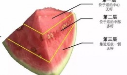 暑期吃瓜趣图,欢乐瞬间，笑出腹肌！