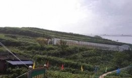 辉县吃瓜事件经过,一场网络舆论的风波与反思