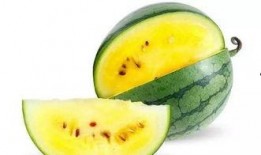 郑州摩友吃瓜,一场“吃瓜”引发的骑行圈热议