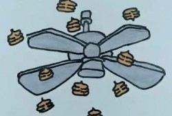 吃白瓜拉稀笑话,一场关于白瓜的趣味笑话引发的饮食思考