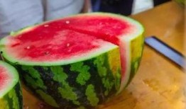 吃瓜大学俱乐部,揭秘校园里的“瓜田”盛景