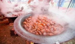 沈荡吃瓜,揭秘娱乐圈背后的秘密与真相