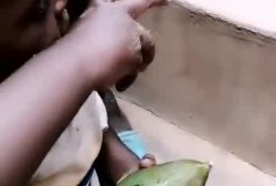 只吃瓜仔的瓜仔能吃吗