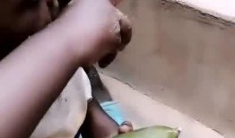 只吃瓜仔的瓜仔能吃吗