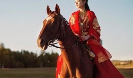 小枫在线吃瓜东宫,揭秘东宫背后的故事与真相