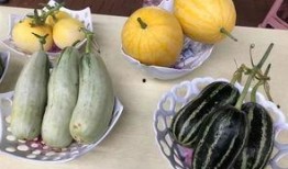 章丘最近吃瓜事件,一场引发热议的社区事件回顾