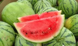 在车里吃瓜甜,甜蜜时光尽享