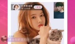 吃瓜小姐姐app,揭秘娱乐圈幕后故事，带你畅游八卦海洋