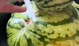 吃瓜大王搞笑的视频,笑料百出，欢乐无限！