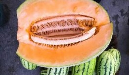 新疆最近吃瓜,民生福祉持续升温