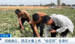 吃瓜为师,吃瓜群众视角下的师生关系