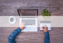 扶手瓜怎么摘心吃,扶手瓜摘心技巧与美味食用指南