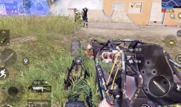 和平精英老六吃瓜,老六吃瓜事件，揭秘游戏圈幕后风云